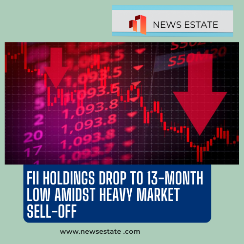 FII Holdings Drop to 13-Month Low Amidst Heavy Market Sell-Off