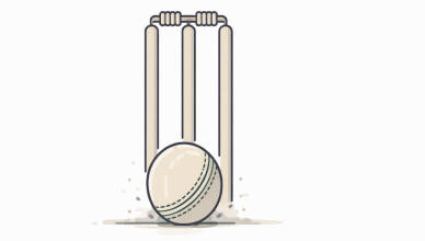Minimal vector illustration of a cricket ball hitting the stumps symbolizing yorker bowling in cricket
