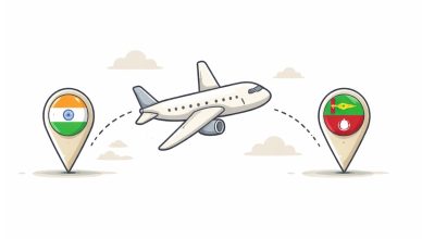 Minimal vector illustration of an airplane flying between India and Gulf region representing resumed international flights