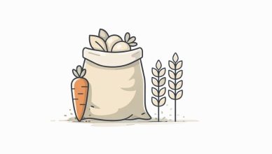 Minimal vector illustration of agricultural produce and wheat representing women’s role in agri-food systems
