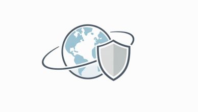 Minimal vector illustration of a shield surrounding a globe symbol, representing protection of citizens abroad with a clean and neutral design.