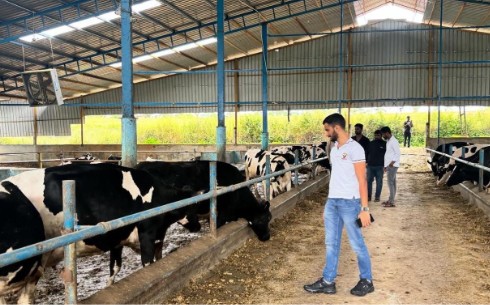Why Animal Welfare Is the First Step to Better Dairy